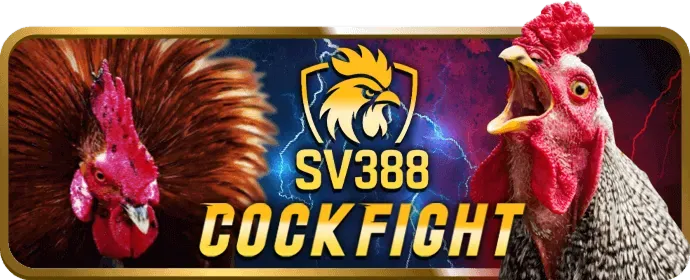 Hỗ trợ khách hàng 24/7 789bets login